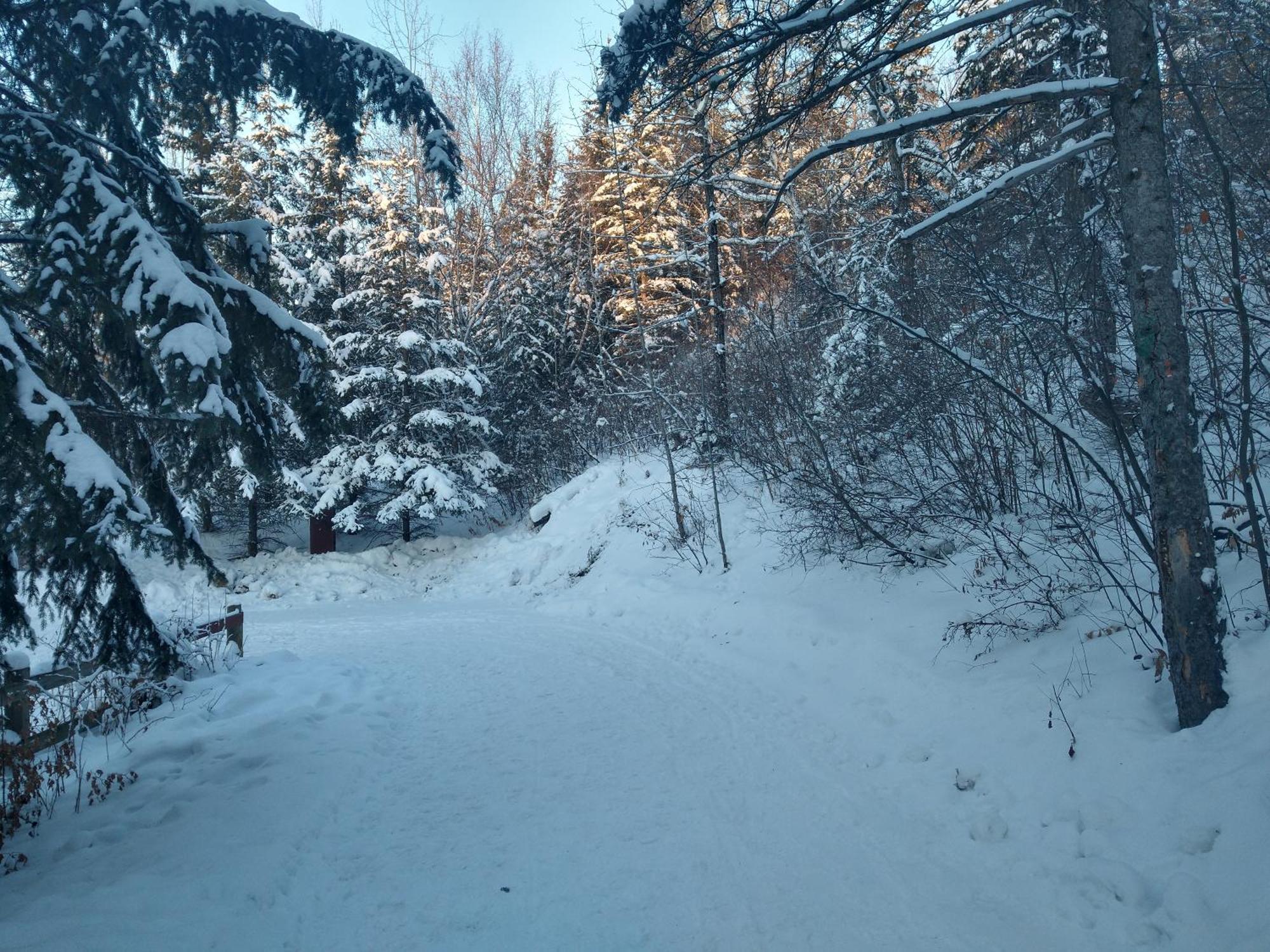 U Of A Homestay, Trails & Whyte Ave เอดมันตัน ห้อง รูปภาพ
